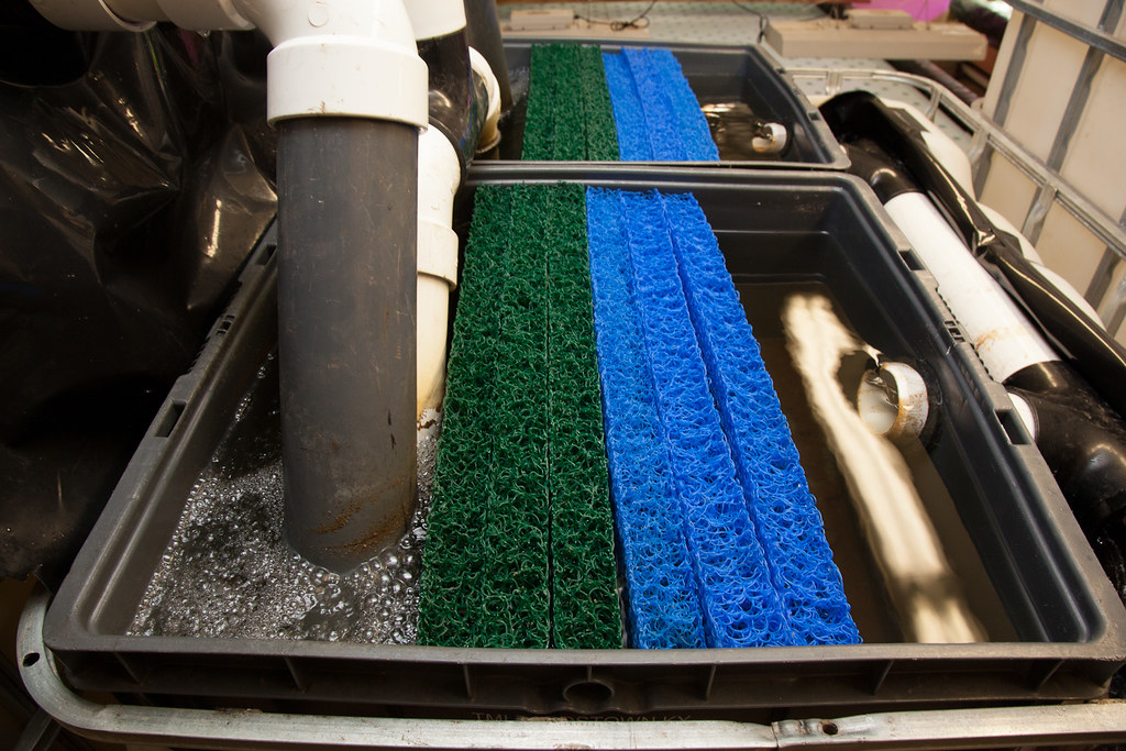 fish tank filters Plant Chicago Flickr