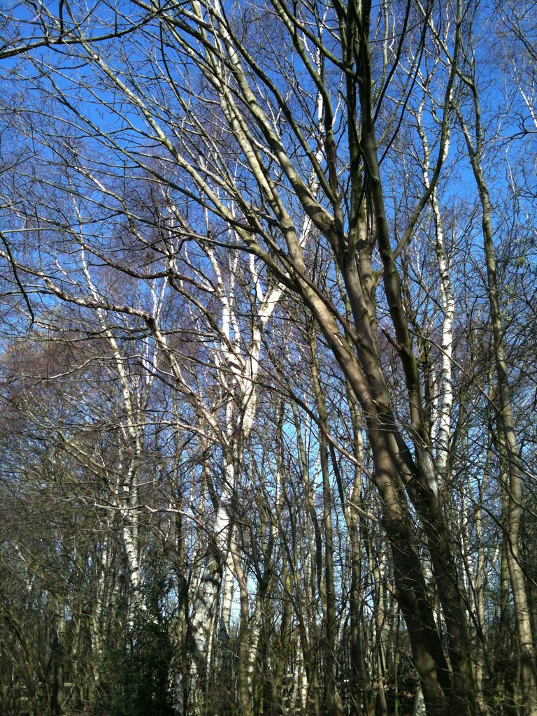 Hawthorn Lane, Stretford Steven Heywood Flickr