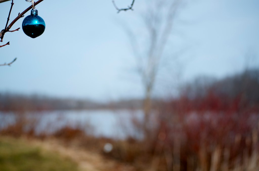 Sunny Lake Park Aurora Flickr