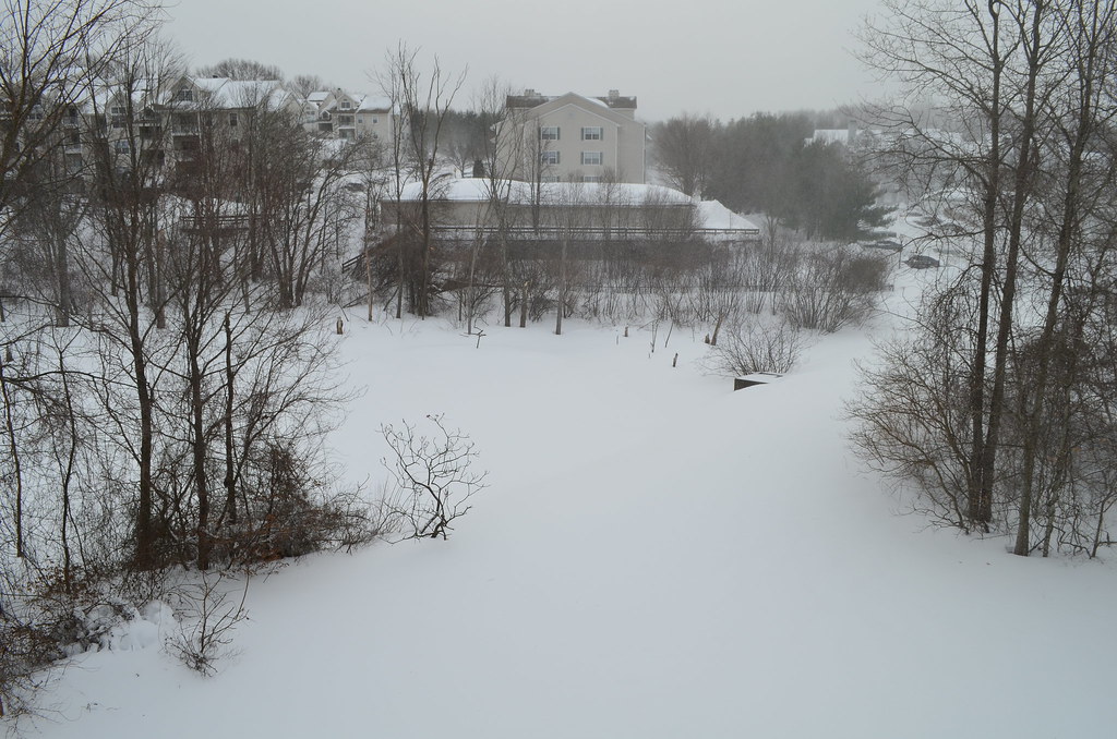 Blizzard of 2013 Snowfall in New Haven, CT Michael Mink Flickr