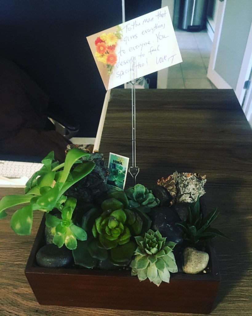 Looks like a secret admirer had a potted plant delivered t… Flickr