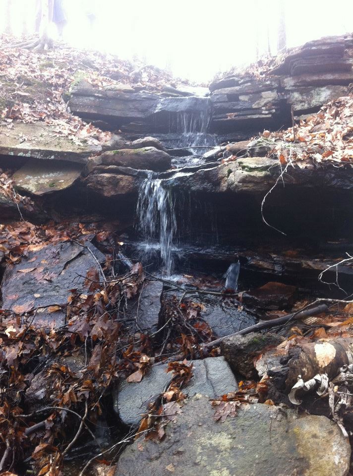 395266_273048419416388_705412414_n Madison Land Trust Flickr