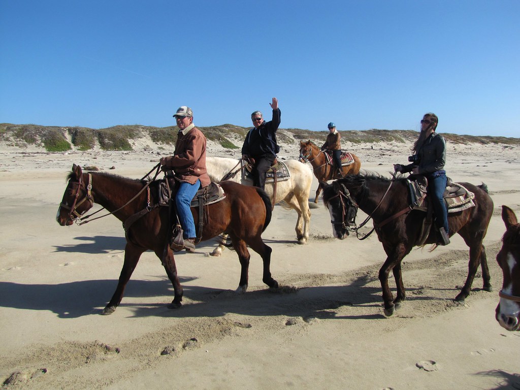 Horseback Riding on Salinas River State Beach Monterey Bay… Flickr