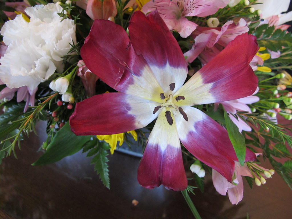 34228 Birthday Flower Arrangement For Mom 2013 Birthday Gi… Flickr