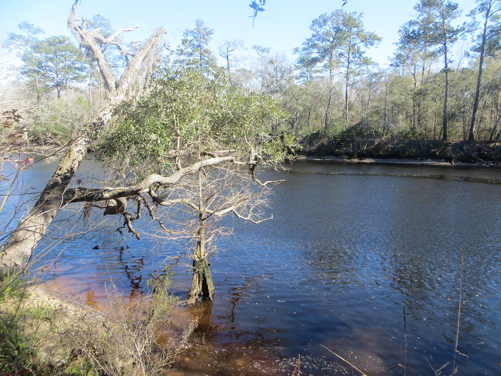 Elevation of Haddock Rd, Hilliard, FL, USA Topographic Map Altitude Map