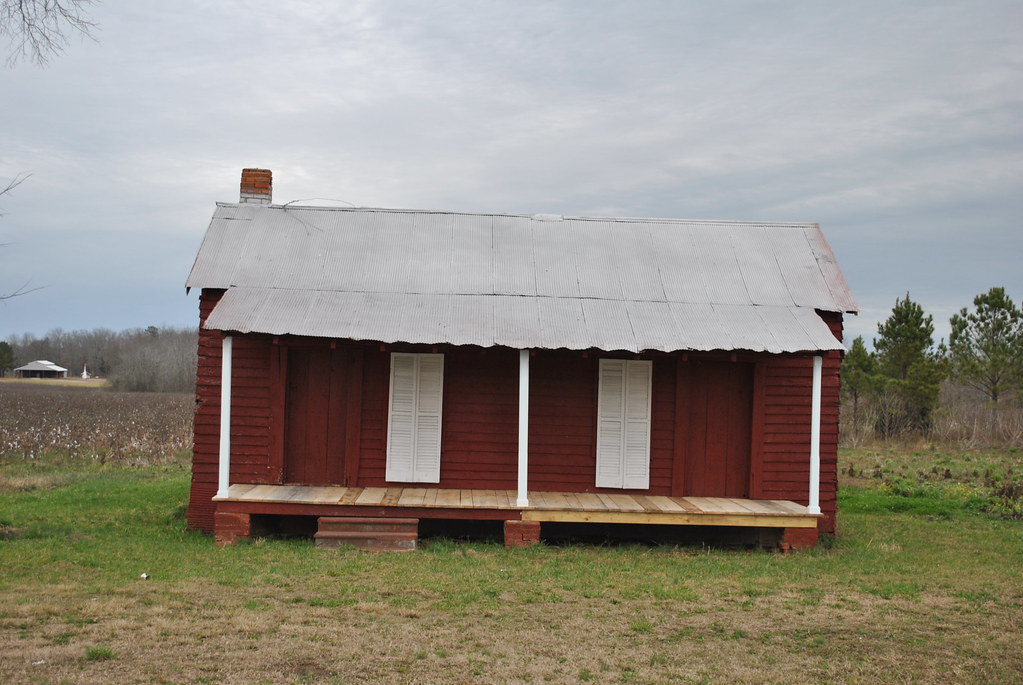 Marion Junction, AL Chereokee Rose Flickr