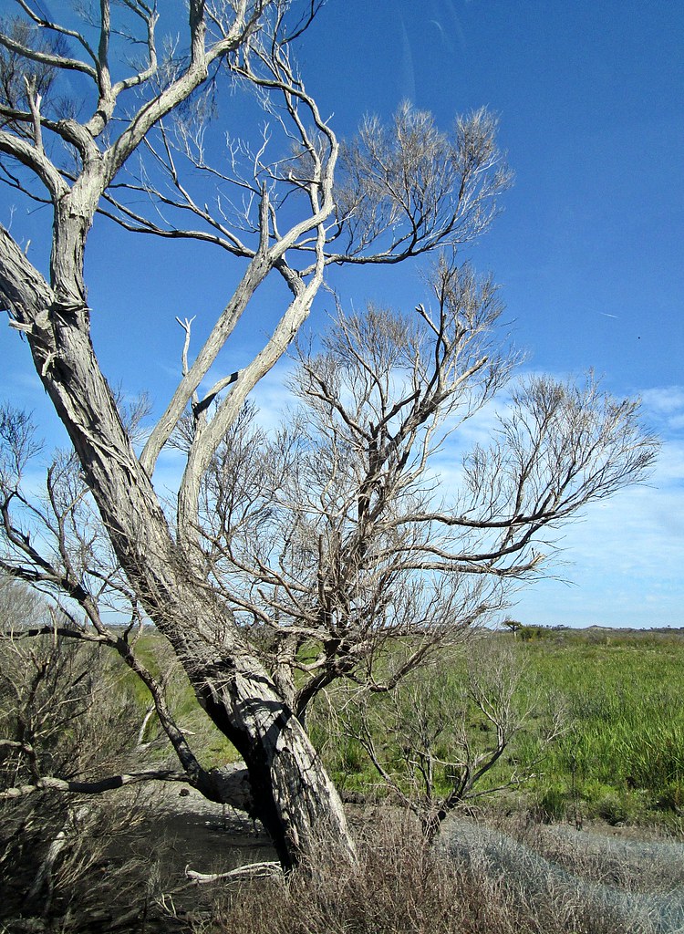 Wheatley Coast Road D'Entrecasteaux N P This is the only… Flickr