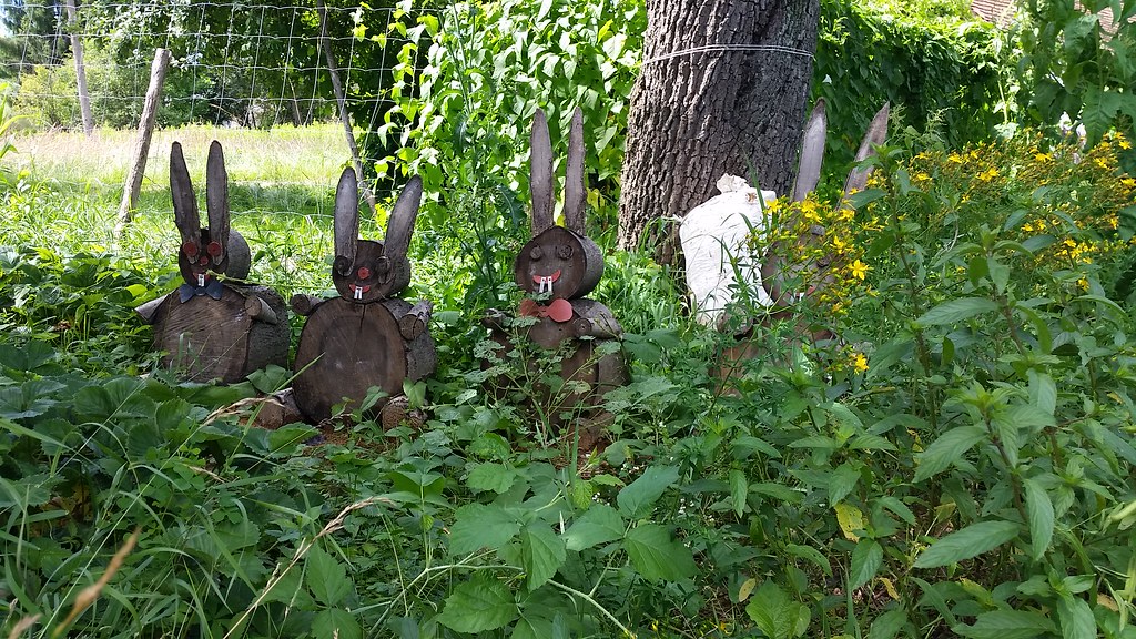 20160714_145518 Famous Wooden Rabbits in Kercaszomor, Hung… Mark Gerzanics Flickr