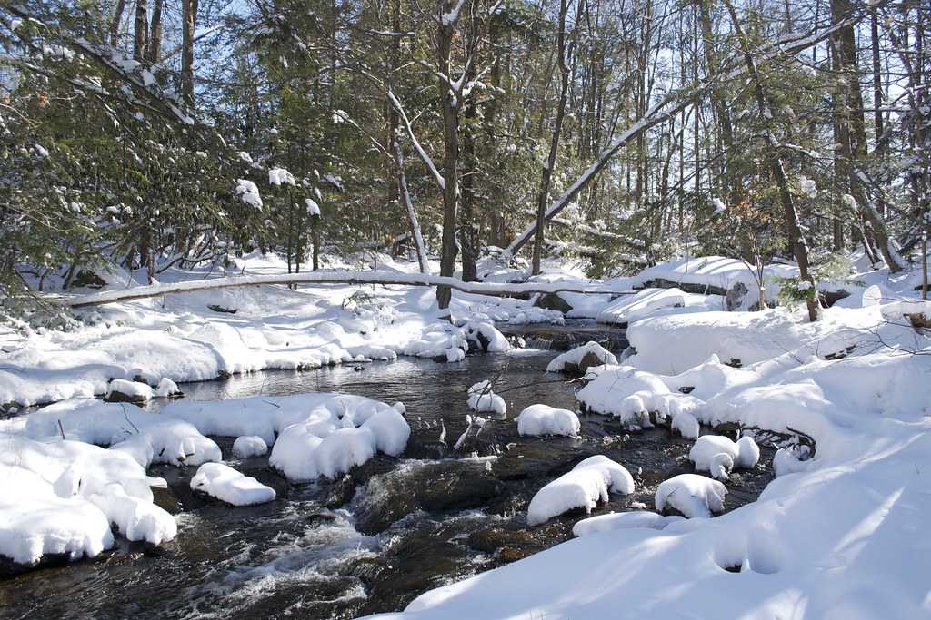 DSC_0253 Rock Hill NY Wanaksink Lake Snow storm Feb. 9, 20… Flickr