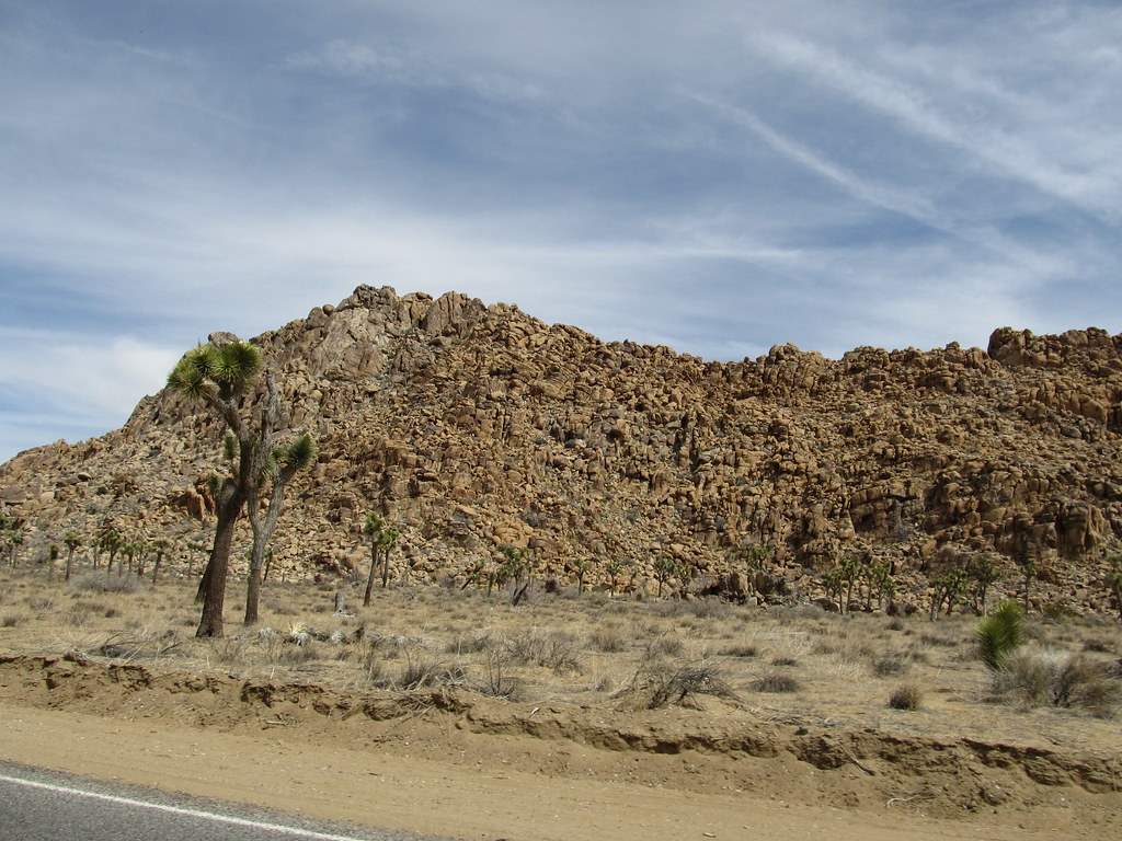 West Entrance to Joshua Tree National Park, California Flickr