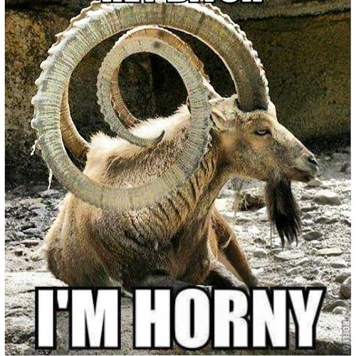 I'm horny!!! Hahahahaha whitagram like follow funny h