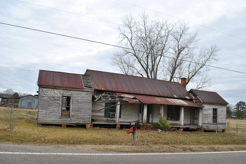 Maplesville, AL Chereokee Rose Flickr