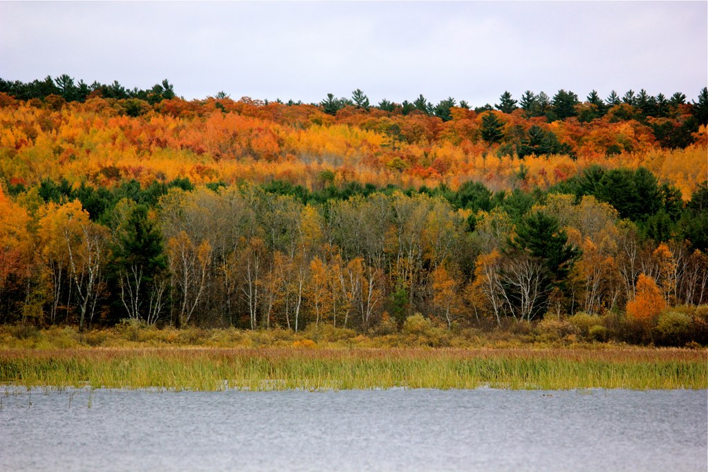 Layers of Autumn Pacwawong near Seeley, WI The Mountains are