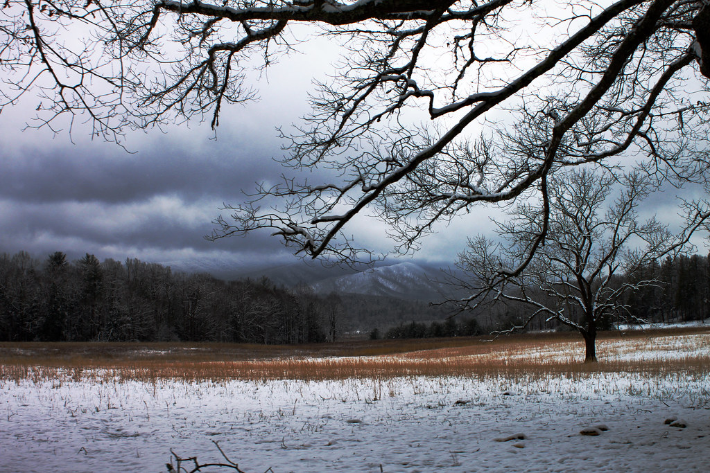 Cades Cove snow Snowy day at Cades Cove in the Great Smoky… Flickr