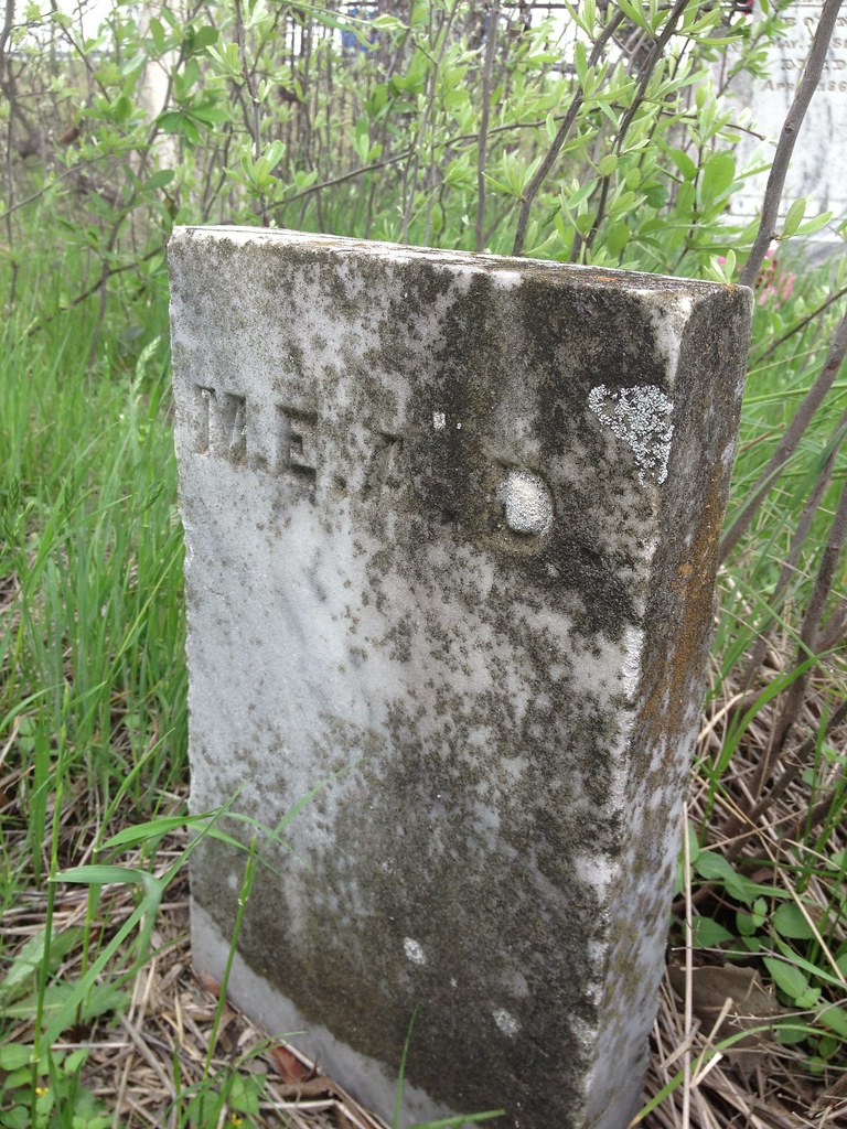 DavidsonLittlepage Cemetery DavidsonLittlepage Cemetery Flickr