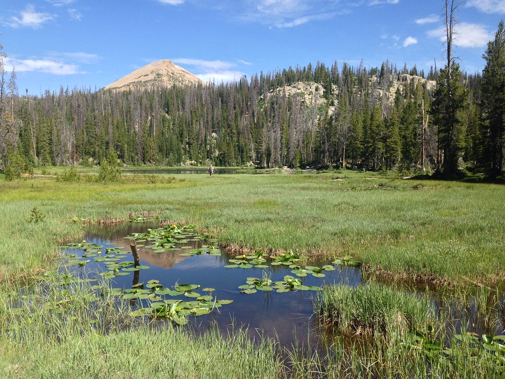 Utah Dragonfly Habitat Uinta Mountains Most beautiful spo… Flickr