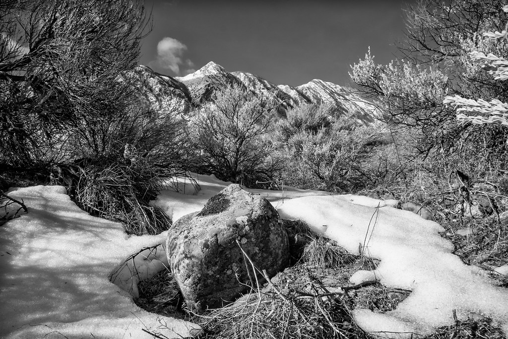 Pemberton Landscape 01 (Explored) Brian Kushniruk Flickr