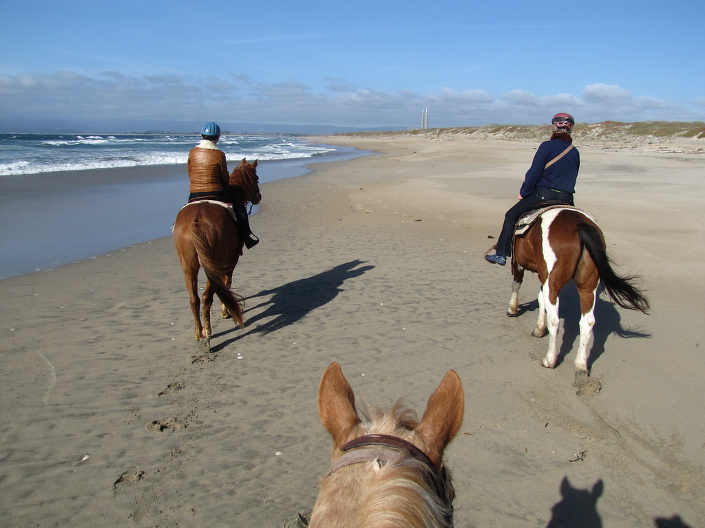 Horseback Riding on Salinas River State Beach Monterey Bay… Flickr