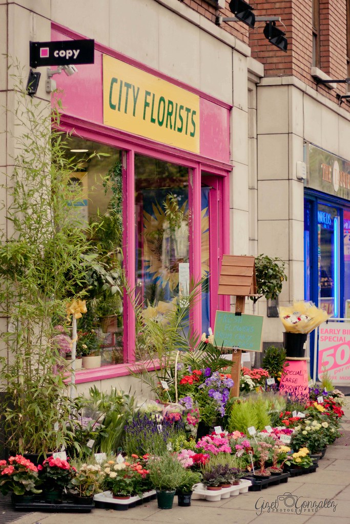 Flower Store Dublin, Ireland ★☆Gigi☆★ Flickr