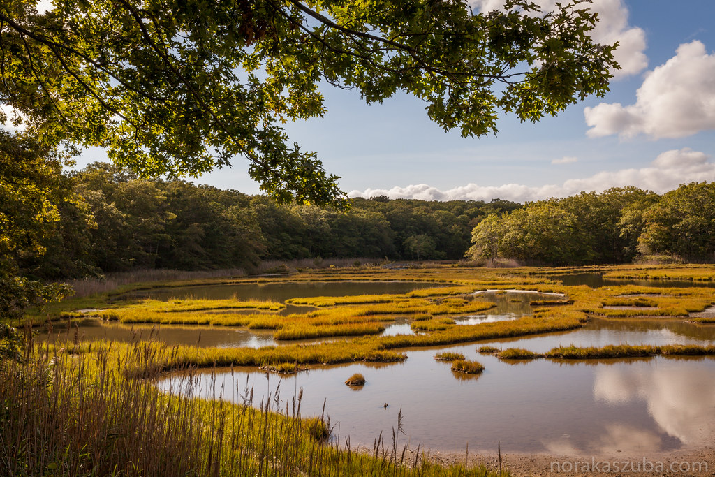 Bride Brook Salt Marsh From Rocky Neck State Park East Lym… Flickr