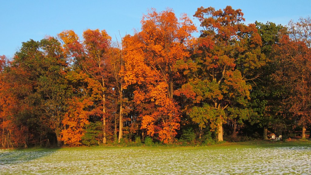 Colors Rocky Ridge, MD Msanders55 Flickr