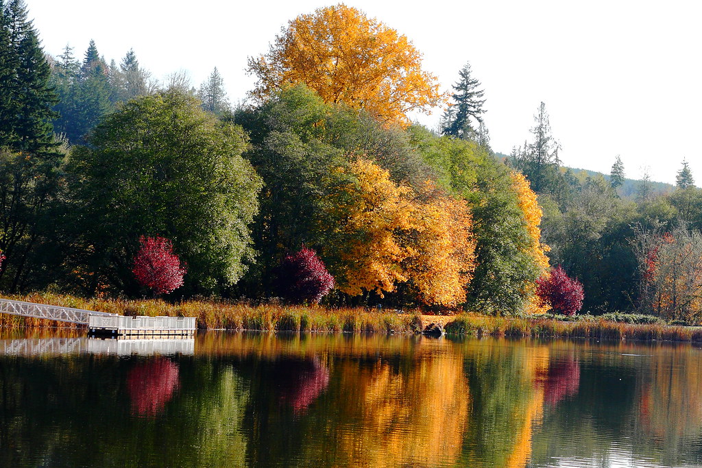 Vernonia Calendar I am doing a calendar for the town. Thes… Flickr