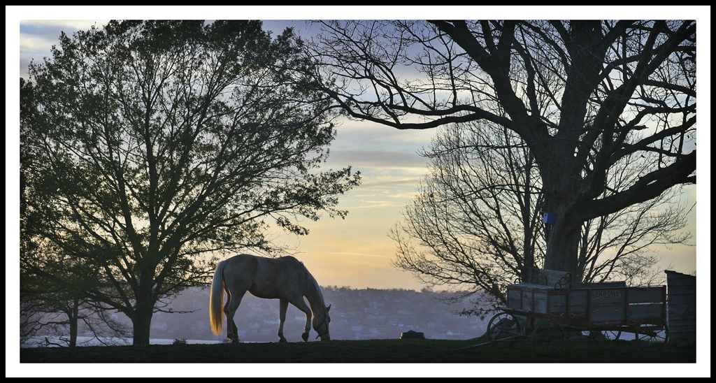 Seapowet Farm Tiverton, RI Suzanne Ellinwood Flickr