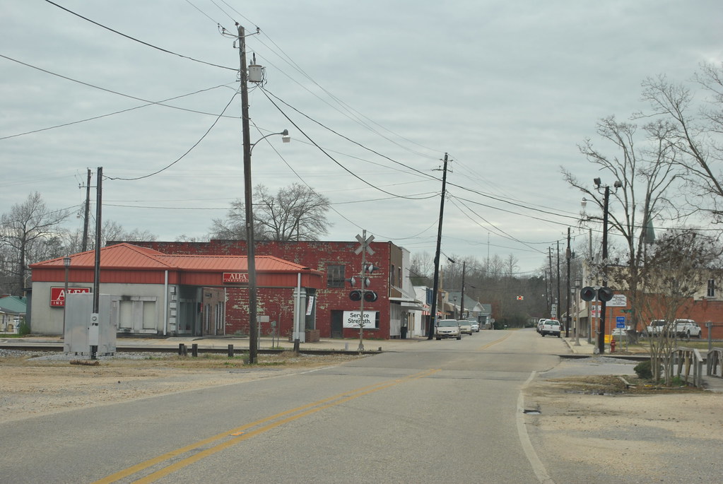 Maplesville, AL Chereokee Rose Flickr