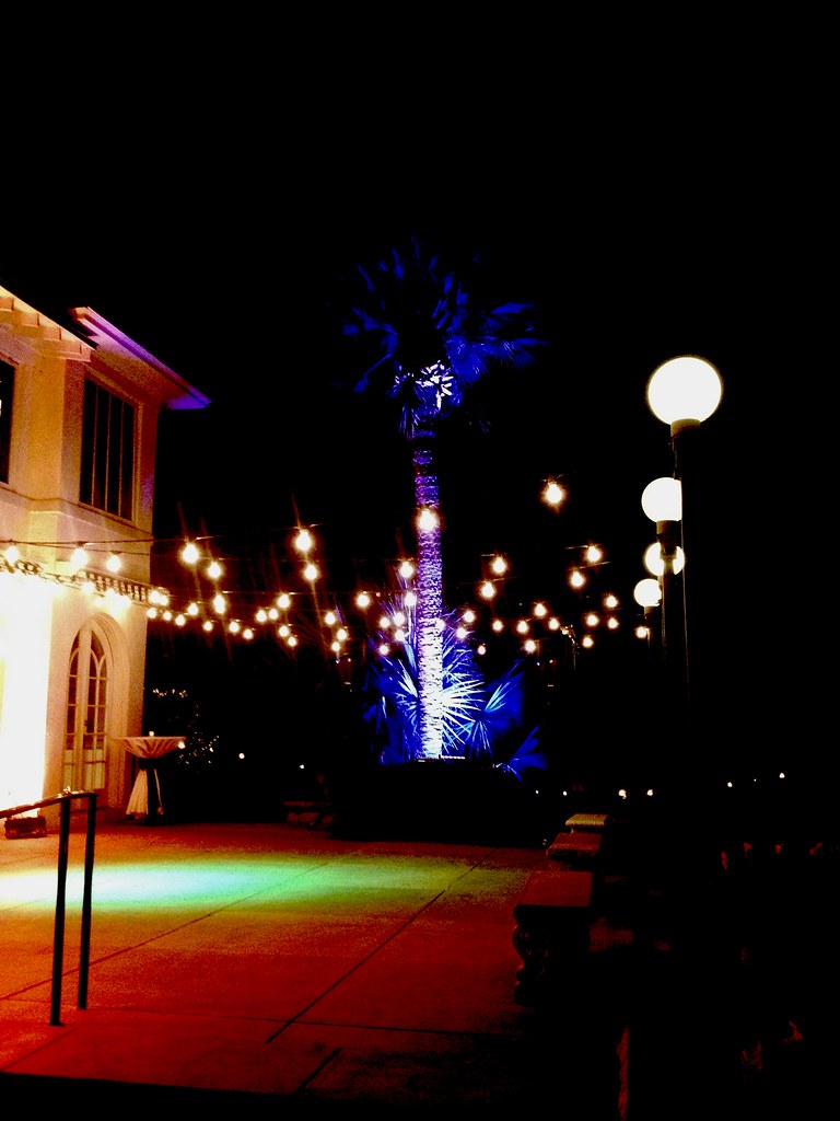 image6 Austin Texas Event, Festoon Lighting, String Light… Flickr