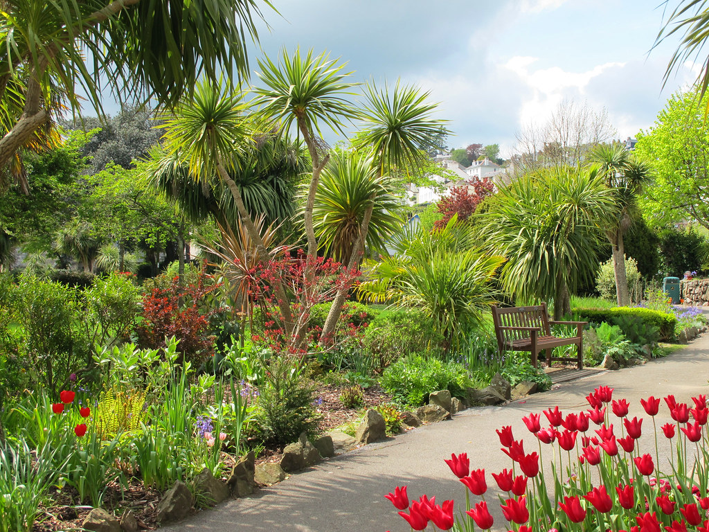 Dartmouth park, spring Tulips and other spring flowers in… Flickr