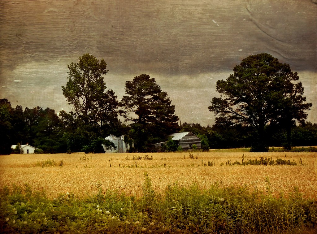 Before the Storm Eureka Vicinity, Wayne County, North Carolina a
