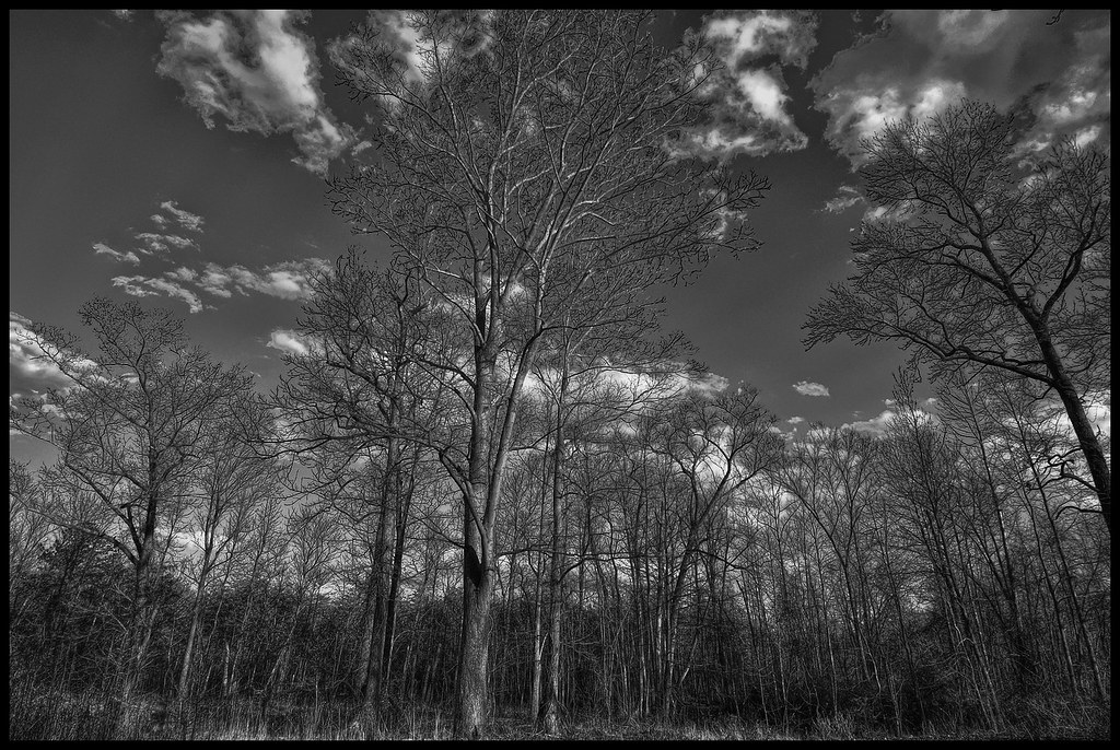 W B & A Path, Crofton, MD Forsaken Fotos Flickr