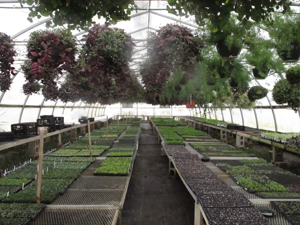 Untitled Dill's Greenhouse Flickr