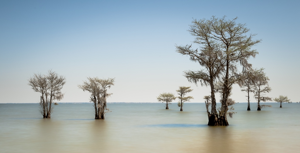 Lake Moultrie Flickr