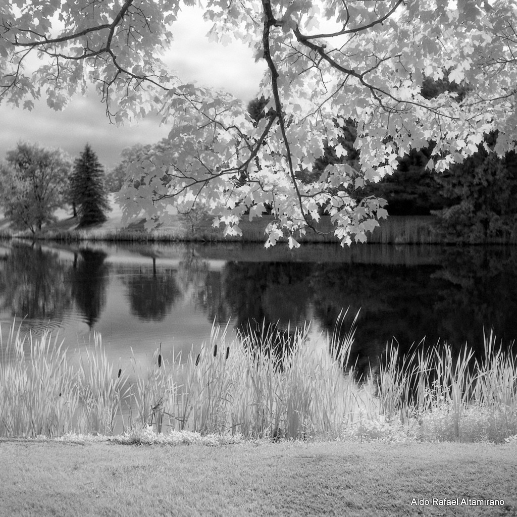 Elevation of Arnolds Rd, Equinunk, PA, USA Topographic Map Altitude Map