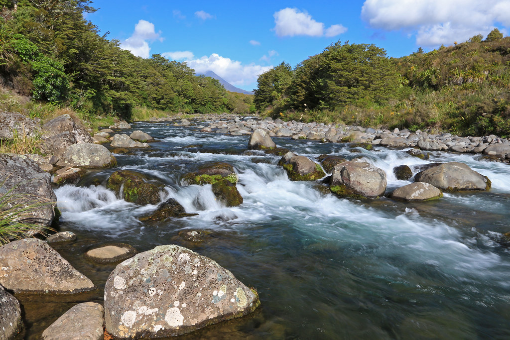 Whakapapanui Stream, Tongariro National Park, Ruapehu District