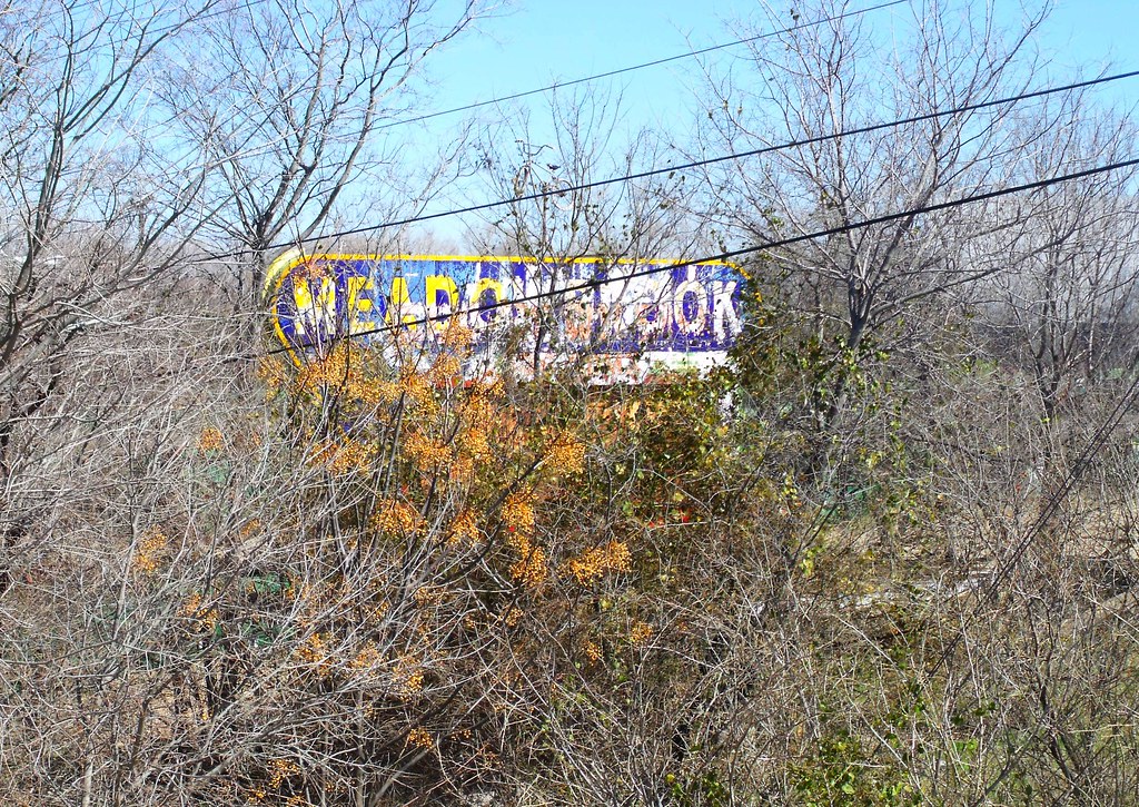Meadowbrook DriveIn Theater 2013 Fort Worth, Texas Red Oak Kid