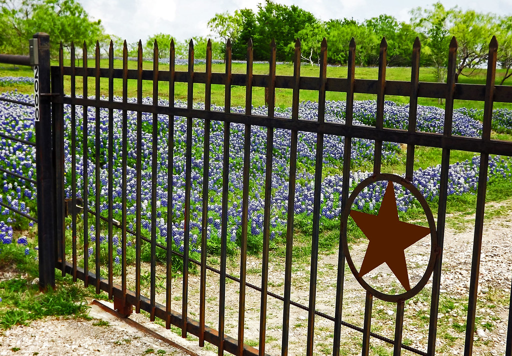 Texas Lone Star Gate 7702 The Lone Star represents the L… Flickr