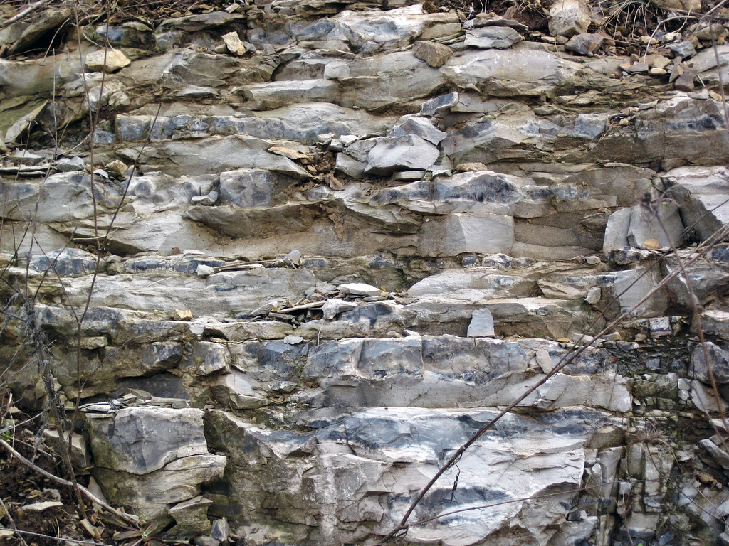 Delaware Limestone (Middle Devonian; Emerald Parkway roadc… Flickr