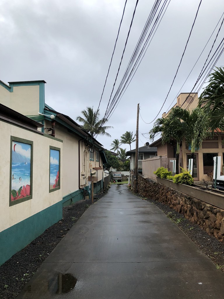 Green time, Maui, Hawaii, April’18 vlas.khilkevich Flickr