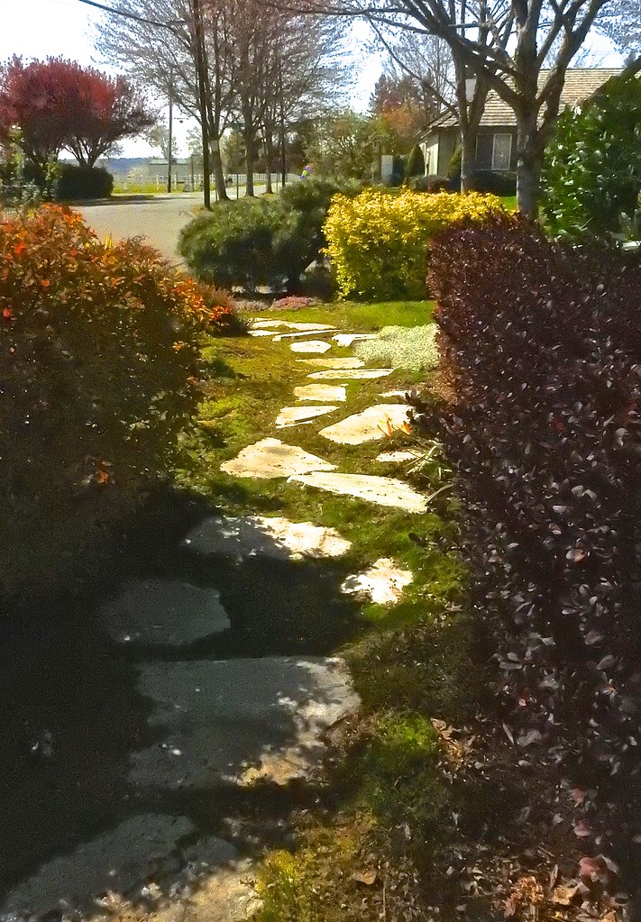 Front garden walk Peter Stevens Flickr