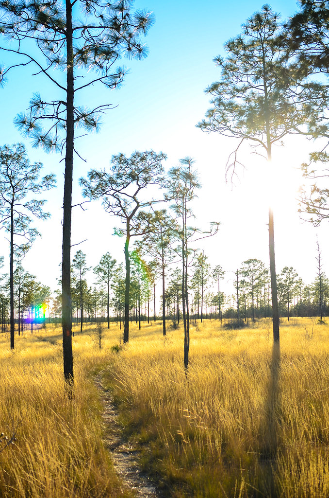 Elevation of Lucas Lake Road, Lucas Lake Rd, Florida, USA Topographic Map Altitude Map