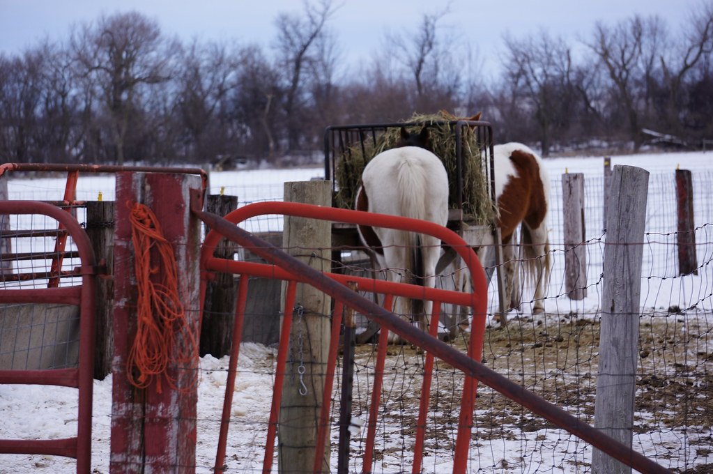 004 Bethany Road DeKalb Co., Il March 2 2013 EarlRShumaker Flickr