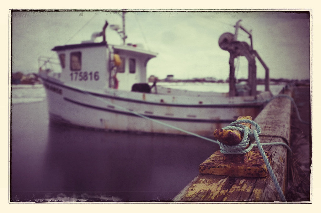 ÉtangduNord JeanFrancois Noel Flickr