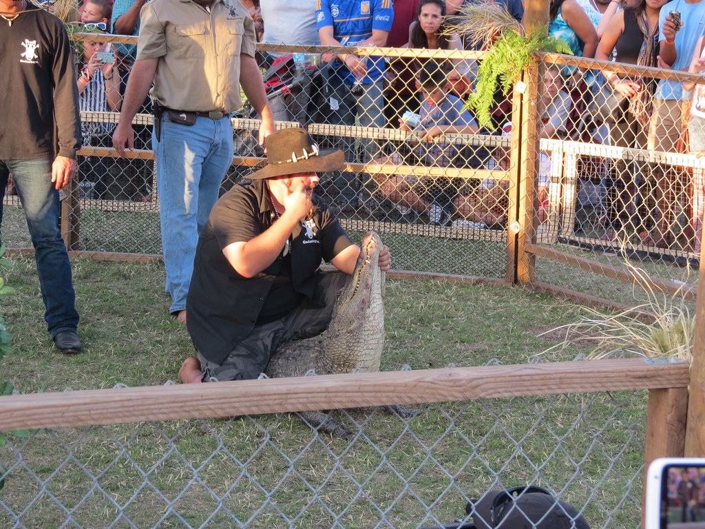 Scales, Tails, and Teeth Jimmy Riffle's Gator Boys Swamp T… Flickr
