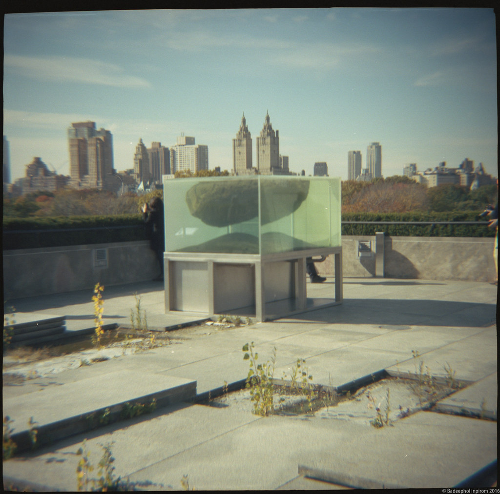 The Roof Garden Commission Pierre Huyghe 2015. The Met Flickr