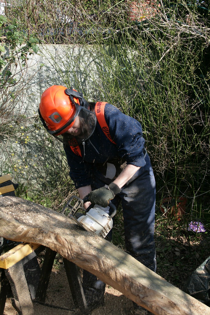 Commisioned Chainsaw Carving,Poole,Dorset 05/03/2013 Flickr