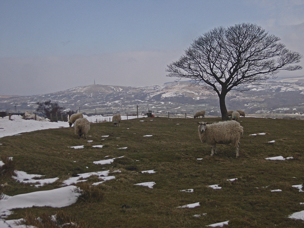 Top road Biddulph Moor 1 view towards Mac Forest Cat&Fiddl… Flickr
