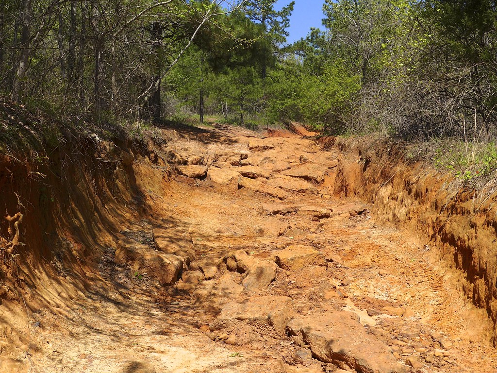 Barnwell mountain off road park Gilmer texas robert thigpen Flickr
