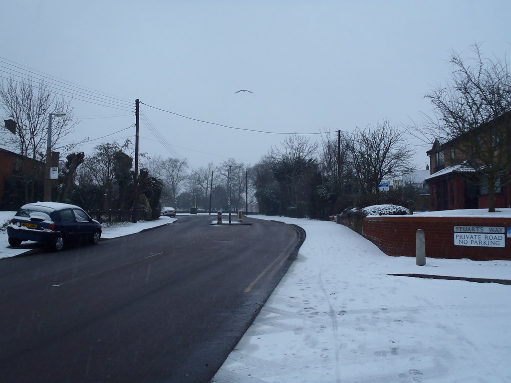 Snow on Sunday P1200375 On the day of snow. Sunday, 20th J… Flickr
